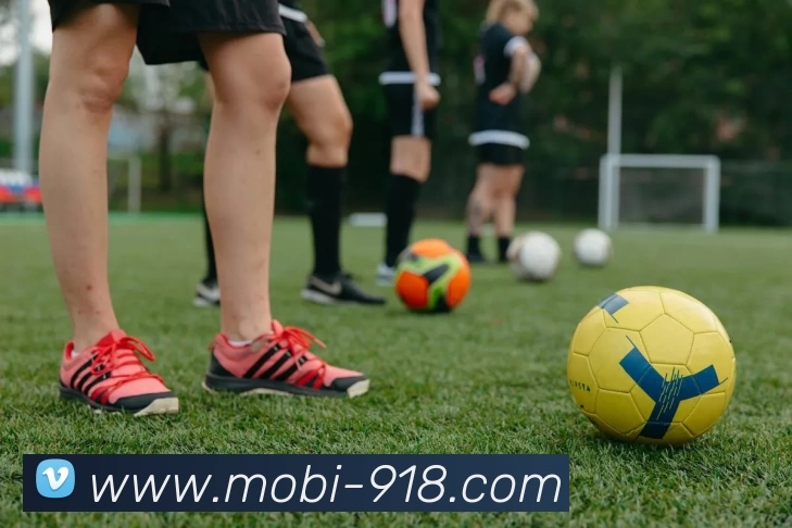 博天堂发展历程